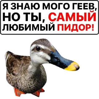 Стикер Самые Лучшие Стикеры - 7