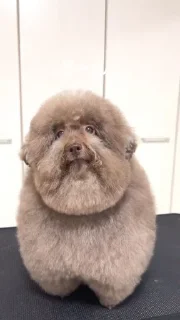 Стикер Ипучие @sozdat_stikery_bot - 0