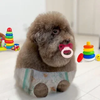 Стикер Ипучие @sozdat_stikery_bot - 2