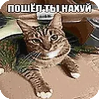 Стикер Больше стиков тут: @stikery4 - 11 Стикер Больше стиков тут: @stikery4 - 11