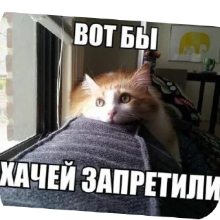 Стикер Больше стиков тут: @stikery4 - 0 Стикер Больше стиков тут: @stikery4 - 0