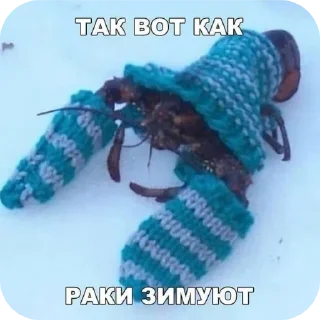 Стикер Больше стиков тут: @stikery4 - 5 Стикер Больше стиков тут: @stikery4 - 5