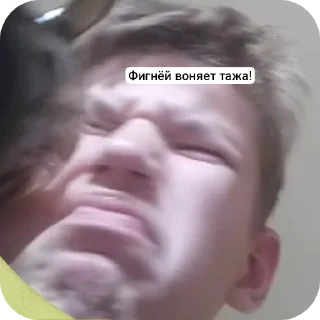 Sticker Стикеры @robootaagaaa "жизнь бибабыбы" - 2
