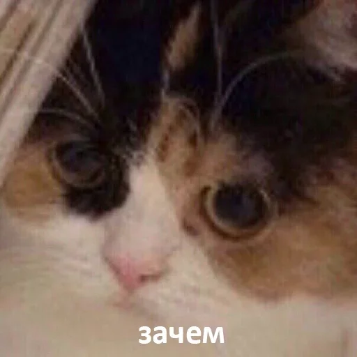 Стикер отправь меня нахуй by @fStikBot - 6