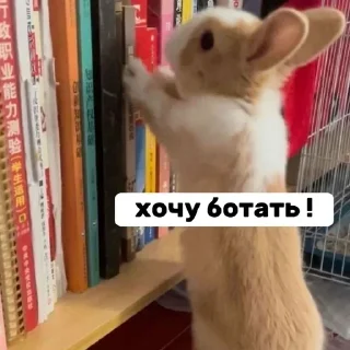 Sticker Больше стиков тут: @stikery4 - 0