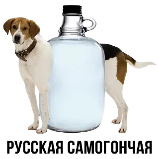 Стикер Больше стиков тут: @stikery4 - 10