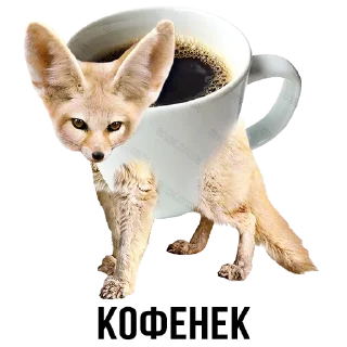 Стикер Больше стиков тут: @stikery4 - 2