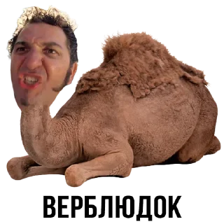 Стикер Больше стиков тут: @stikery4 - 8