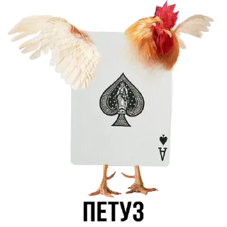 Стикер Больше стиков тут: @stikery4 - 9