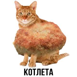 Стикер Больше стиков тут: @stikery4 - 1