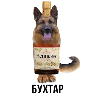 Стикер Больше стиков тут: @stikery4 - 4