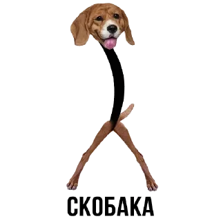 Sticker Больше стиков тут: @stikery4 - 0