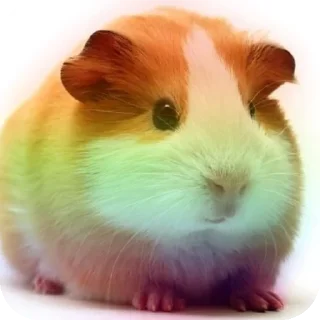 Sticker Больше стиков тут: @stikery4 - 7