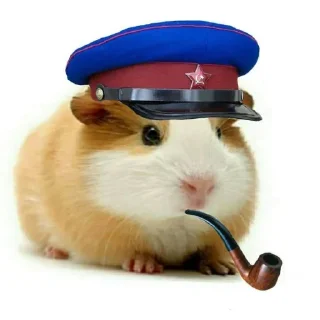 Sticker Больше стиков тут: @stikery4 - 3