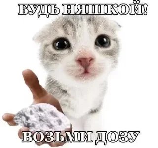 Sticker Больше стиков тут: @stikery4 - 5