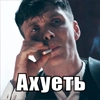 Шелби Харош Шелби Харош - человеческое лицо