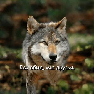 Sticker Штаб КЦП - 11 Sticker Штаб КЦП - 11