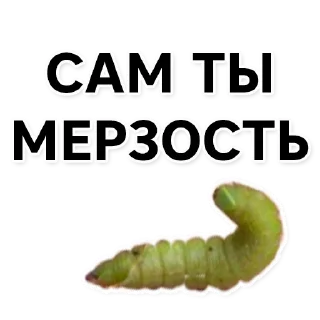 Стикер Тутовый шелкопряд - 0