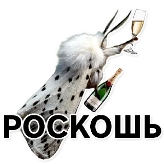 Sticker Тутовый шелкопряд - 7