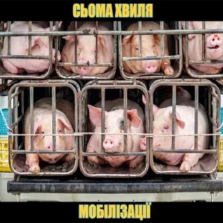 Стикер хохлы - 10