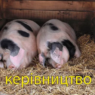 Стикер хохлы - 0