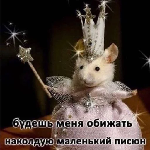 СМС СМС млекопитающее животное
