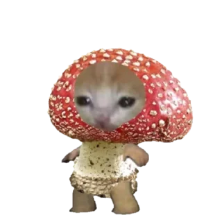 Стикер smol okichuuu - 7