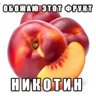 Стикер тильт @giiwox 🎀🎀🎀 - 5