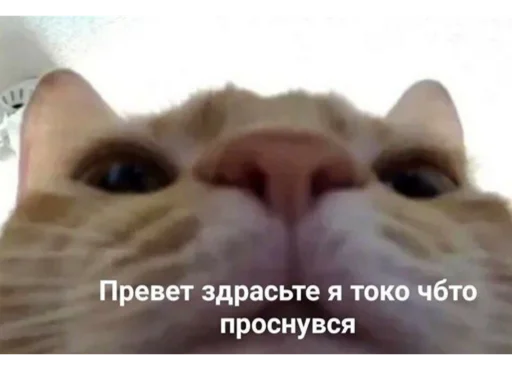 стикерпак без бюджета - 