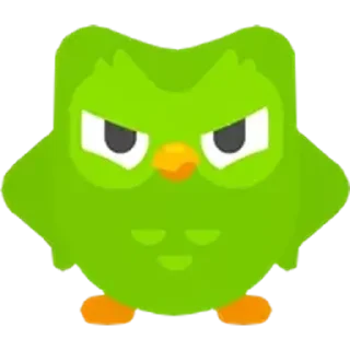 Стикер Duolingo Owl (@emopix) - 7