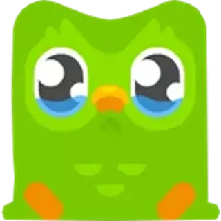 Стикер Duolingo Owl (@emopix) - 6