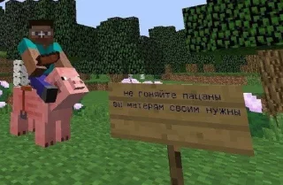 Стикер Майнкрафт @minemems1 - 5