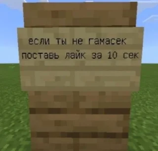 Стикер Майнкрафт @minemems1 - 6