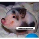 Это конец Это конец - animal