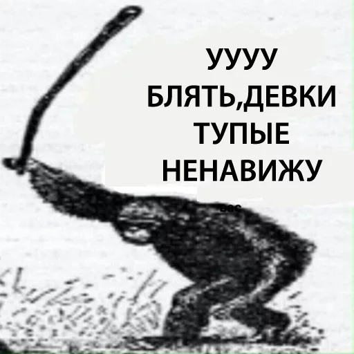 СМС СМС эскиз обезьяна