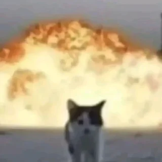 Стикер Мур мяу - 0