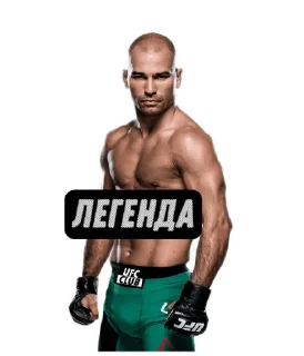 Стикер UFC CLUB @ufc_card - 9 Стикер UFC CLUB @ufc_card - 9