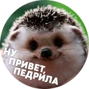 ? Hedgehog memes @lennysticker ? Hedgehog memes @lennysticker - животное
