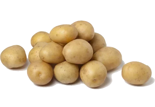 картофель картофель Юкон золотой картофель руссет бербанк картофель