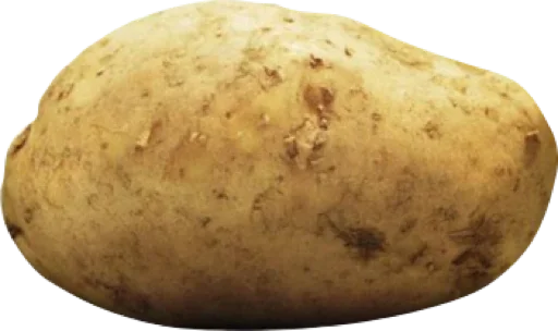 пища пища картофель корнеплод
