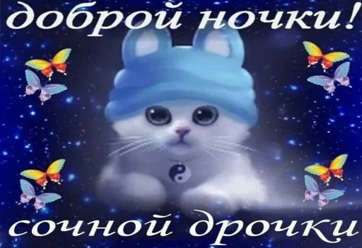 text text cat cartoon