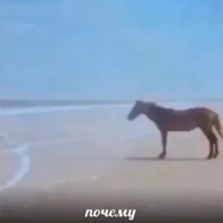 Стикер Стикеры тут 👉 @Femoji - 2