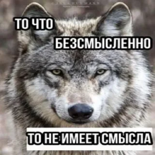 Стикер БЕЗУМНО МОЖНО БЫТЬ ВОЛКОМ - 5 Стикер БЕЗУМНО МОЖНО БЫТЬ ВОЛКОМ - 5