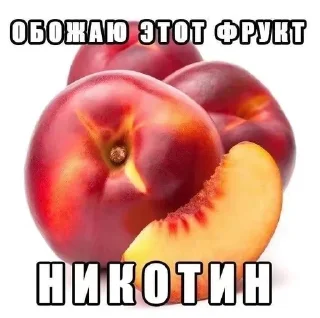 Стикер Больше стиков тут: @stikery4 - 9 Стикер Больше стиков тут: @stikery4 - 9