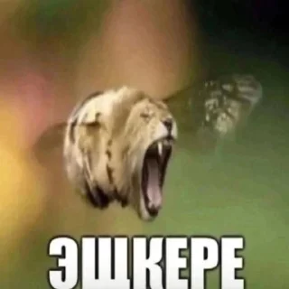 Sticker Ядовитый и летучий - 3 Sticker Ядовитый и летучий - 3