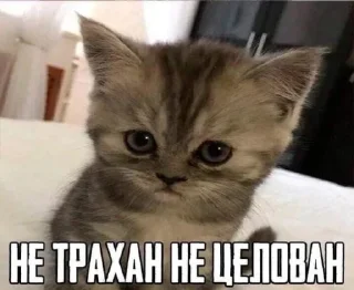 Стикер Больше стиков тут: @stikery4 - 3