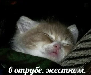 Стикер Больше стиков тут: @stikery4 - 6
