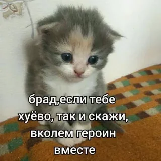 Стикер Больше стиков тут: @stikery4 - 5