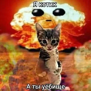 Стикер Больше стиков тут: @stikery4 - 2