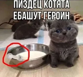 Стикер Больше стиков тут: @stikery4 - 4
